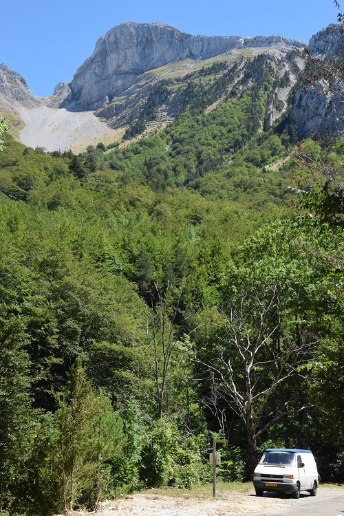 DSC_0241 (2)